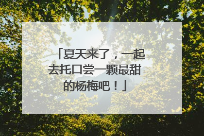 夏天来了，一起去托口尝一颗最甜的杨梅吧！