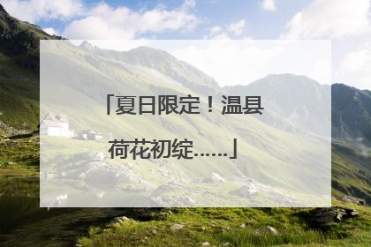 夏日限定！温县荷花初绽……