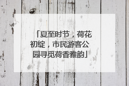 夏至时节，荷花初绽，市民游客公园寻觅荷香雅韵
