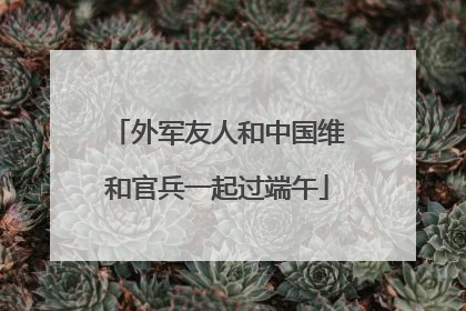 外军友人和中国维和官兵一起过端午