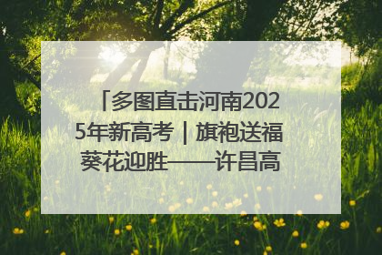 多图直击河南2025年新高考｜旗袍送福 葵花迎胜——许昌高考首日拉开帷幕