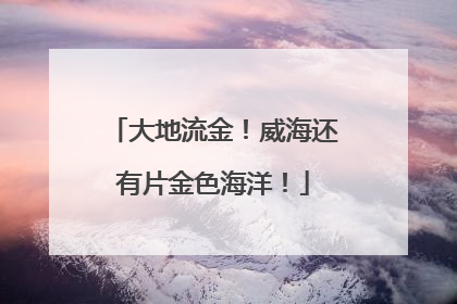 大地流金！威海还有片金色海洋！