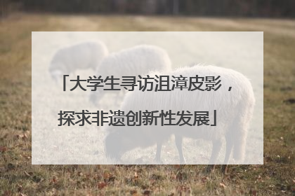 大学生寻访沮漳皮影，探求非遗创新性发展