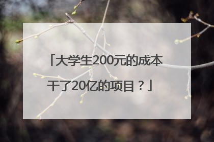 大学生200元的成本干了20亿的项目？