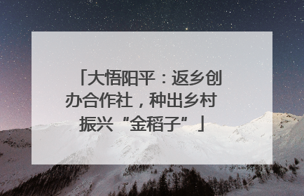 大悟阳平：返乡创办合作社，种出乡村振兴“金稻子”