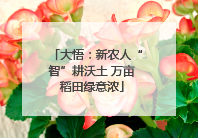 大悟：新农人“智”耕沃土 万亩稻田绿意浓