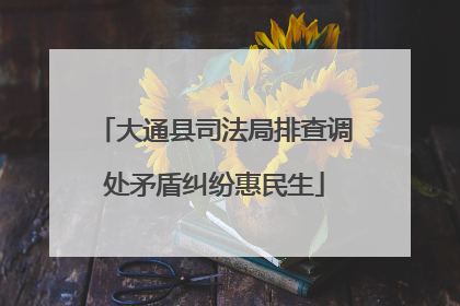 大通县司法局排查调处矛盾纠纷惠民生