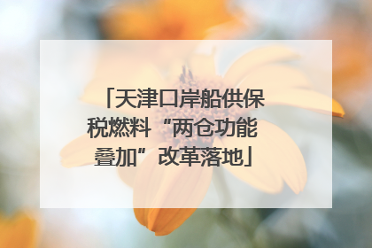 天津口岸船供保税燃料“两仓功能叠加”改革落地