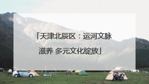 天津北辰区：运河文脉滋养 多元文化绽放