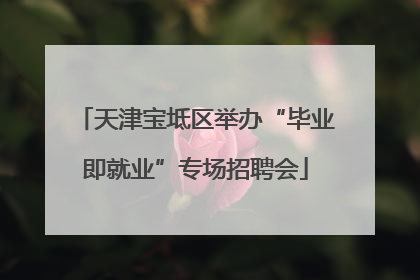 天津宝坻区举办“毕业即就业”专场招聘会