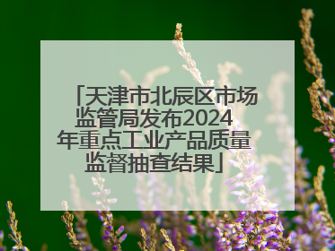 天津市北辰区市场监管局发布2024年重点工业产品质量监督抽查结果