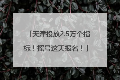 天津投放2.5万个指标！摇号这天报名！