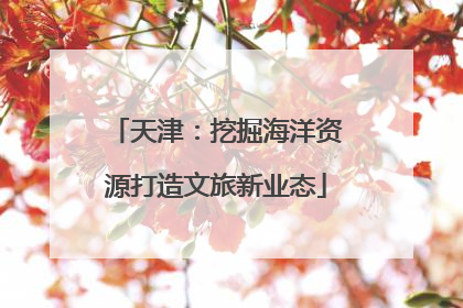 天津：挖掘海洋资源打造文旅新业态