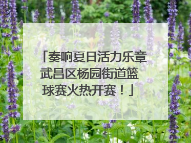 奏响夏日活力乐章 武昌区杨园街道篮球赛火热开赛！