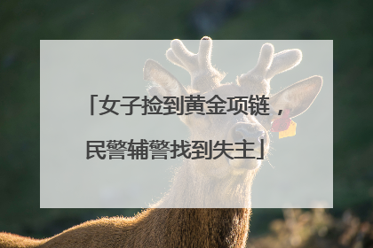 女子捡到黄金项链，民警辅警找到失主