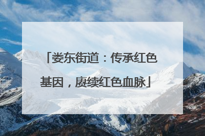 娄东街道：传承红色基因，赓续红色血脉