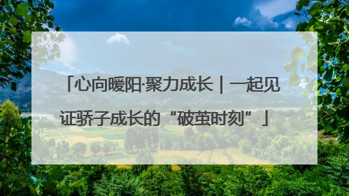 心向暖阳·聚力成长｜一起见证骄子成长的“破茧时刻”
