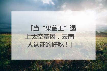 当“果菌王”遇上太空基因，云南人认证的好吃！