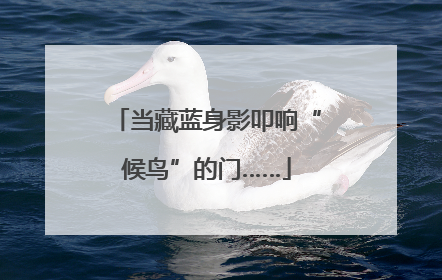 当藏蓝身影叩响“候鸟”的门……