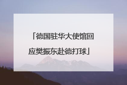 德国驻华大使馆回应樊振东赴德打球