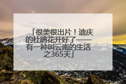 很美很出片！迪庆的杜鹃花开好了——有一种叫云南的生活之365天