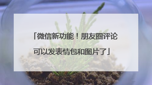微信新功能！朋友圈评论可以发表情包和图片了