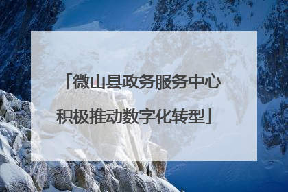 微山县政务服务中心积极推动数字化转型