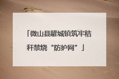 微山县驩城镇筑牢秸秆禁烧“防护网”