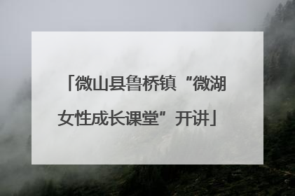 微山县鲁桥镇“微湖女性成长课堂”开讲