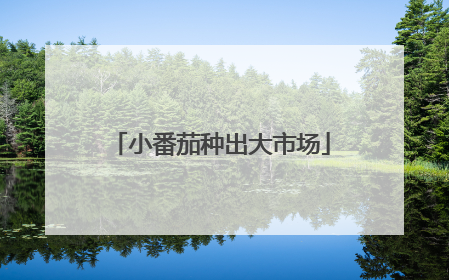 小番茄种出大市场