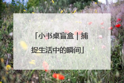 小书桌盲盒｜捕捉生活中的瞬间