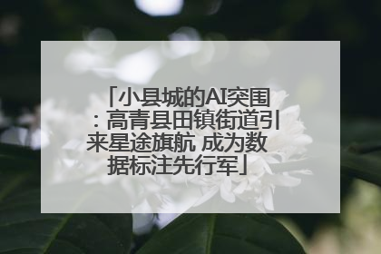 小县城的AI突围：高青县田镇街道引来星途旗航 成为数据标注先行军