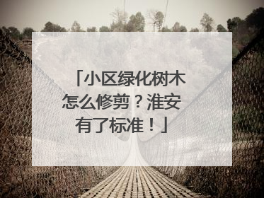 小区绿化树木怎么修剪？淮安有了标准！