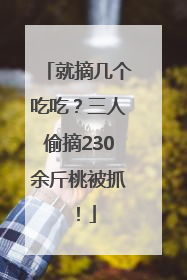 就摘几个吃吃？三人偷摘230余斤桃被抓！