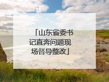 山东省委书记直奔问题现场督导整改