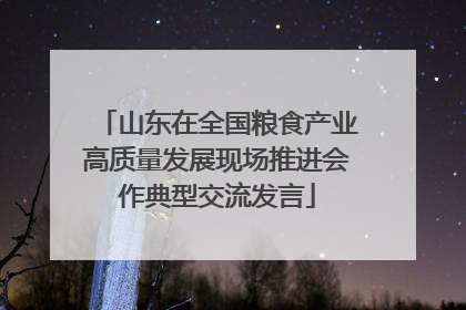 山东在全国粮食产业高质量发展现场推进会作典型交流发言