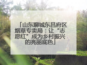 山东聊城东昌府区烟草专卖局：让“志愿红”成为乡村振兴的亮丽底色
