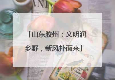 山东胶州：文明润乡野，新风扑面来
