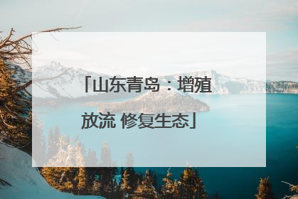 山东青岛：增殖放流 修复生态