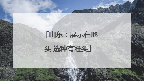 山东：展示在地头 选种有准头