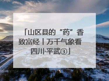 山区县的“药”香致富经丨万千气象看四川·平武③