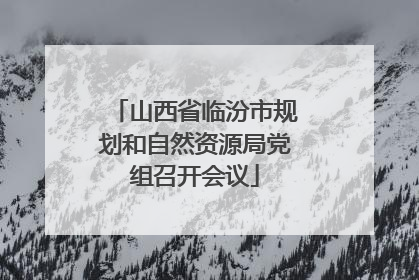 山西省临汾市规划和自然资源局党组召开会议