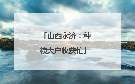山西永济：种粮大户收获忙