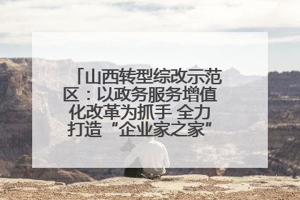 山西转型综改示范区：以政务服务增值化改革为抓手 全力打造“企业家之家”贴心服务体系