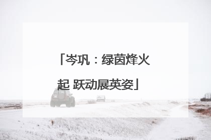 岑巩：绿茵烽火起 跃动展英姿
