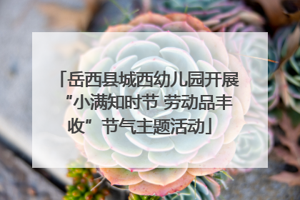 岳西县城西幼儿园开展“小满知时节 劳动品丰收”节气主题活动