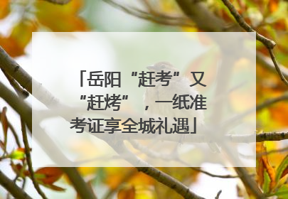 岳阳“赶考”又“赶烤”，一纸准考证享全城礼遇