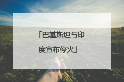 巴基斯坦与印度宣布停火
