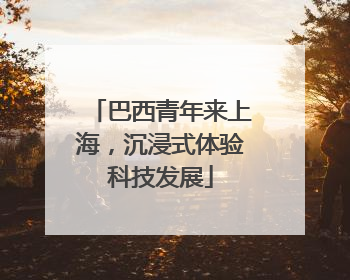 巴西青年来上海，沉浸式体验科技发展
