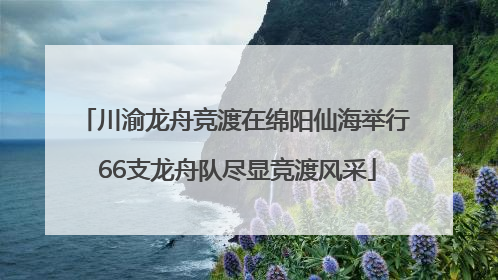川渝龙舟竞渡在绵阳仙海举行 66支龙舟队尽显竞渡风采